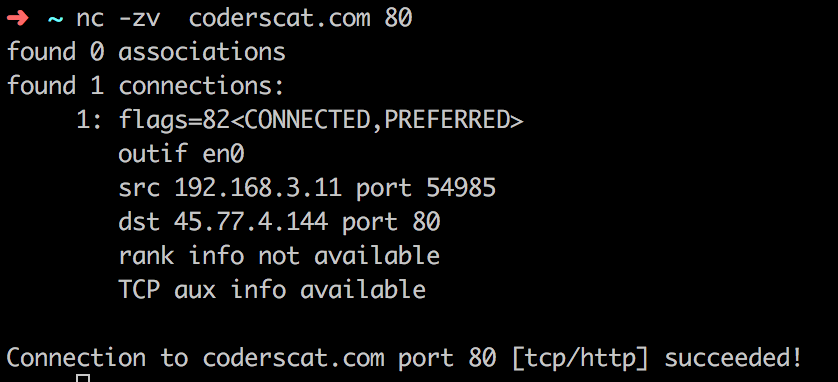 file:img/CAPTURE-2020_03_09_basic-networking-tool-netcat.org_20200309_152034.png