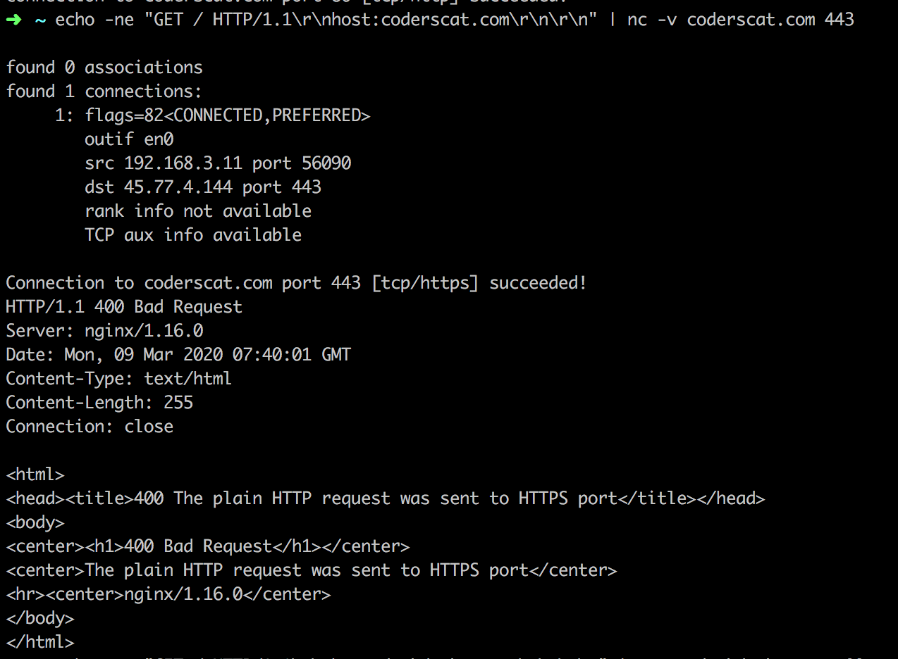 file:img/CAPTURE-2020_03_09_basic-networking-tool-netcat.org_20200309_154116.png